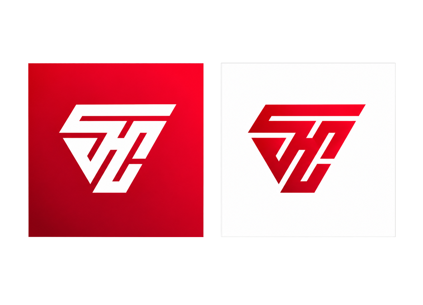 Brand logo design for SilentCore